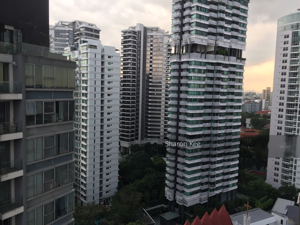 26 Newton (D11), Condominium #235005061
